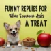 Funny Replies for When Someone Asks for a Treat