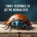 Funny Responses to Don’t Let the Bedbugs Bite