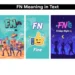fn meaning in text