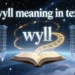 wyll meaning in text
