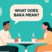 what does baka mean