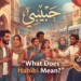 what does habibi mean