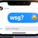 what does wsg mean