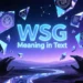 wsg meaning in text