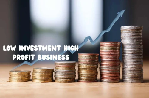 Low Investment High Profit Business