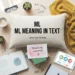 ml meaning in text