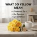 what do yellow roses mean