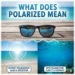 what does polarized mean