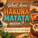 what does hakuna matata mean
